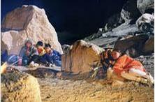 會唱歌的土豆 會唱歌的土豆