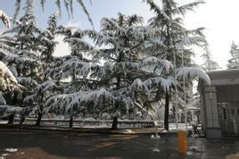 天氣現象 天氣現象