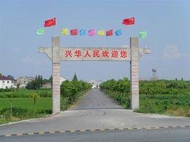 興華村[江蘇省鎮江市揚中市三茅鎮下轄村]