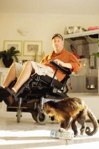 猴子保姆 猴子保姆