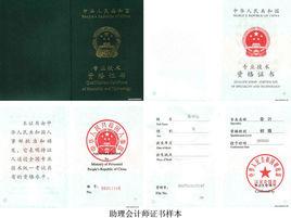 高級會計職稱考試 高級會計職稱考試
