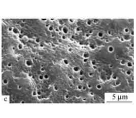 黏彈行為 黏彈行為