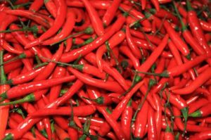 紅海椒