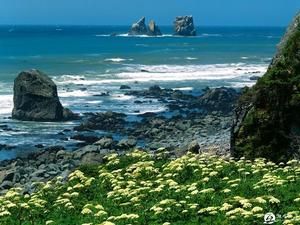 紅杉樹國家公園