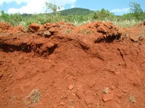 淋溶作用 淋溶作用