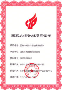 國家高科技火炬計畫項目