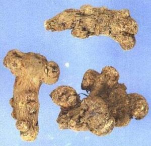 《傅青主女科》