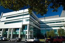 紐約州立大學布法羅分校