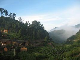 梅田村[廣東省廣州市白雲區鍾落潭鎮下轄村]