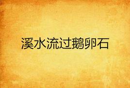 溪水流過鵝卵石 溪水流過鵝卵石