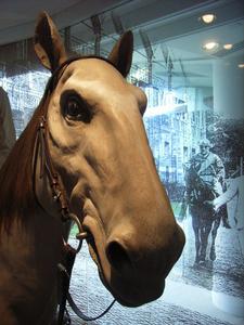 香港賽馬博物館