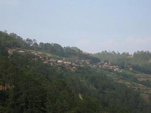 新農莊村 新農莊村