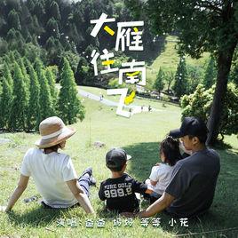 大雁往南飛 大雁往南飛