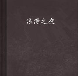 浪漫之夜 浪漫之夜