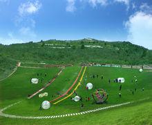 八台山[四川省萬源市八台山]