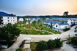 江西良山鎮 江西良山鎮