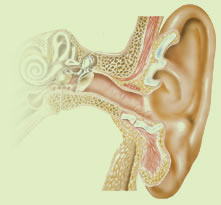 先天性耳前瘺管
