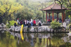 南昌八一公園 南昌八一公園