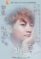 如果，愛[2017年張哲書執導電視劇]