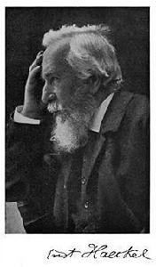 恩斯特·海因里希·菲利普·奧古斯特·海克爾 恩斯特·海因里希·菲利普·奧古斯特·海克爾