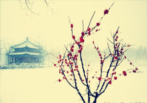 雪梅香·景蕭索 雪梅香·景蕭索