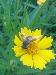 《生命的意義是什麼》 《生命的意義是什麼》