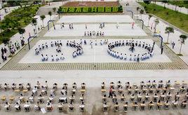 羅定藝術高級中學 羅定藝術高級中學