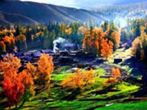 白巴哈村 白巴哈村