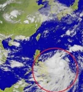 海鷗照片特效生成工具