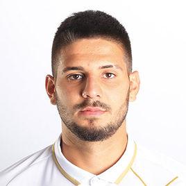 米特洛維奇[紐卡斯爾聯隊球員]