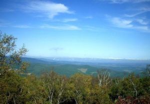 石龍山森林公園 石龍山森林公園