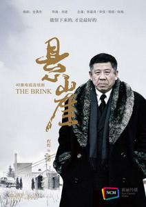 頭號勁敵[2012年張嘉譯、小宋佳主演電視劇]