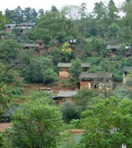 燒瓦塘村 燒瓦塘村