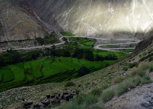 中國人的景觀大道