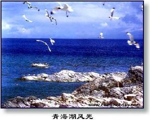 青海湖自然保護區