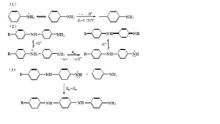 Gospodinova提出的苯胺化學聚合鏈增長機理