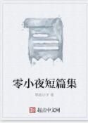 零小夜短篇集 零小夜短篇集