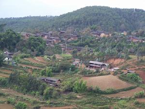 金鴨塘自然村 金鴨塘自然村