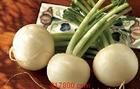 樅陽大蘿蔔 樅陽大蘿蔔