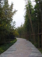 阿斯坦龍 阿斯坦龍