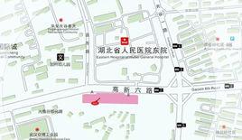 藏龍東街站 藏龍東街站