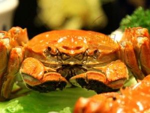 上海鑫陽陽澄湖大閘蟹 上海鑫陽陽澄湖大閘蟹