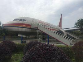 成都東星航空旅遊專修學院 成都東星航空旅遊專修學院