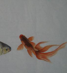 繪畫《金魚》 吳玉陽作