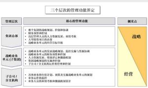 戰略業務單元 戰略業務單元