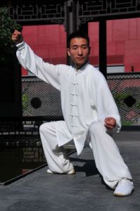 陳氏太極拳老架二路 陳氏太極拳老架二路