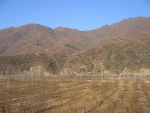 中坪生態新村 中坪生態新村