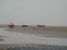 壽光營里老河口灘涂