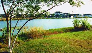 巴城[江蘇省崑山市巴城鎮]