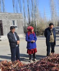 查汗采開鄉 查汗采開鄉